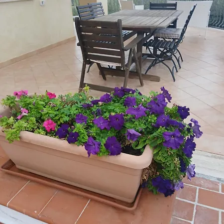 Borgo Vignale Πανσιόν *